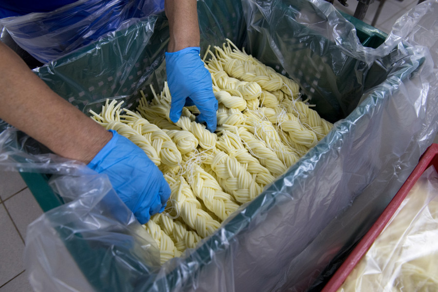 Алтайский молочный завод осваивает новое производство