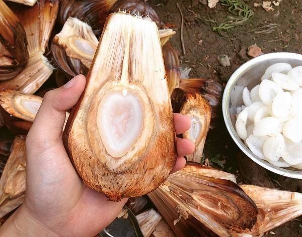 Giải nhiệt mùa hè với 2 loại trái cây dân dã miền Tây