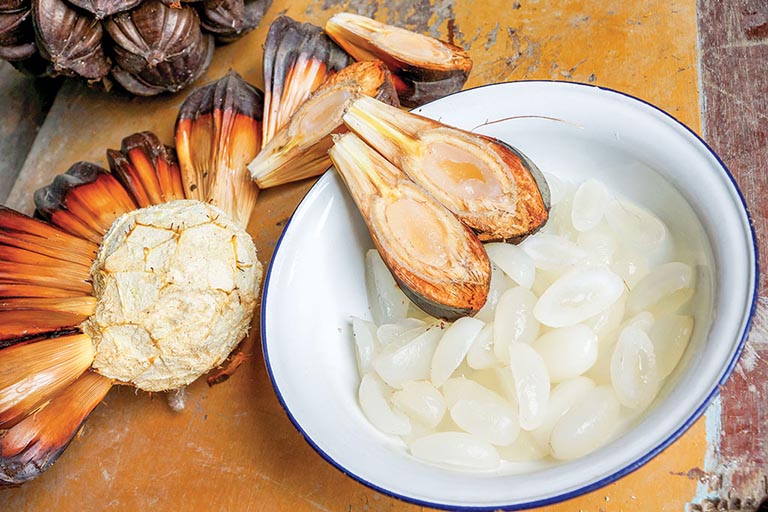 Cây Dừa Nước - Giá Trị Dinh Dưỡng, Tác Dụng & Cách Dùng