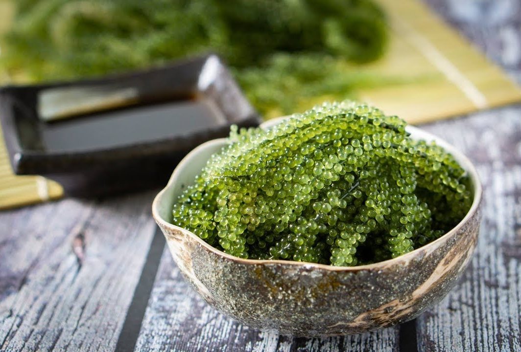 14 đặc sản Nha Trang mua về làm quà là “nhất” (Tiếp theo) - ChuduInfo