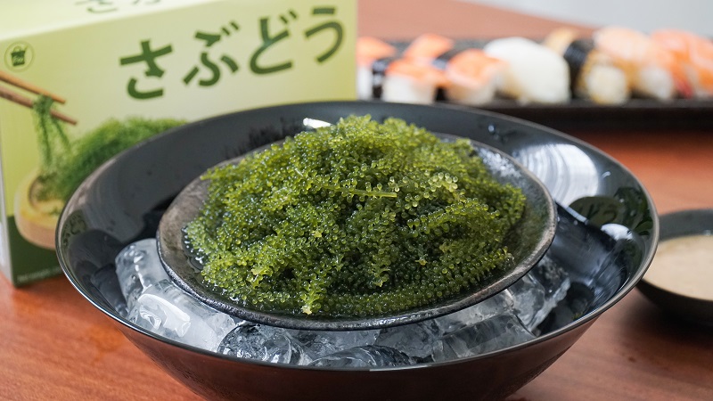 RONG NHO TÁCH NƯỚC SABUDO - đi du lịch cùng Tugo.com.vn